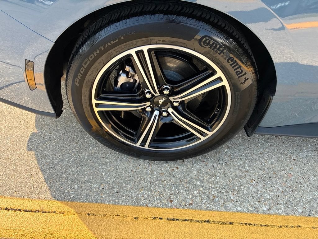 2025 Ford Mustang EcoBoost