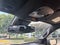 2023 Chevrolet Colorado WT