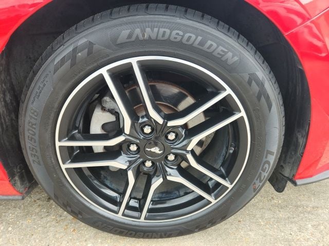 2019 Ford Mustang EcoBoost