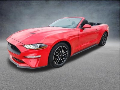 2019 Ford Mustang EcoBoost
