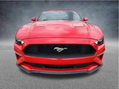 2019 Ford Mustang EcoBoost