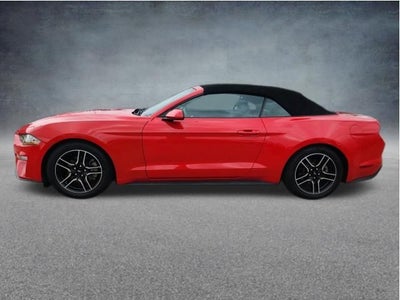 2019 Ford Mustang EcoBoost