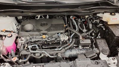 2025 Toyota Sienna XLE 8 Passenger