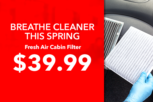 Breathe Cleaner This Spring